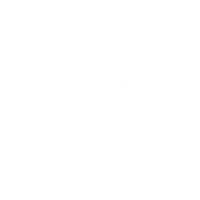 Twin